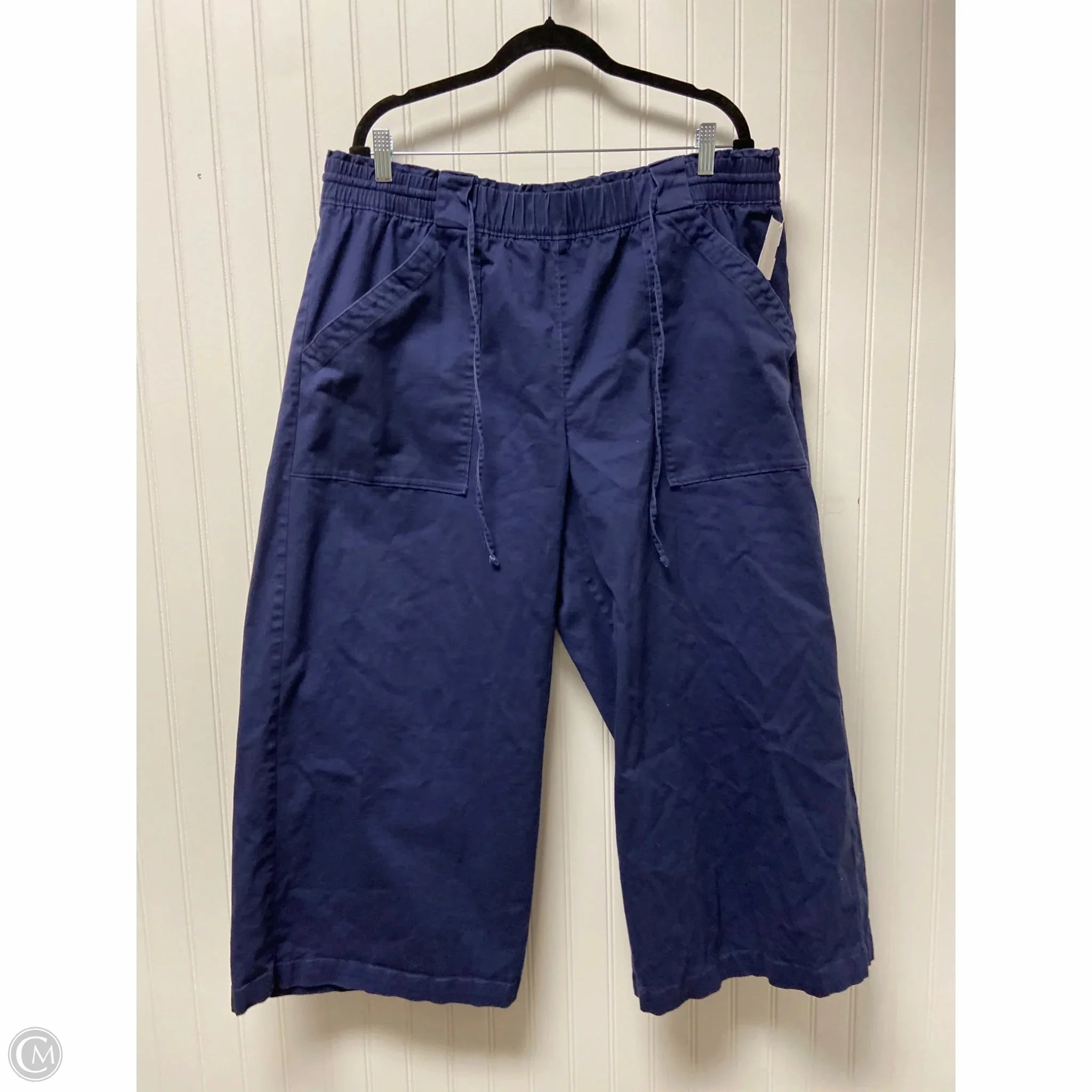 DoubleLayeredFabric Casual Comfort Pants Other By Ava & Viv In Navy, Size: 1x