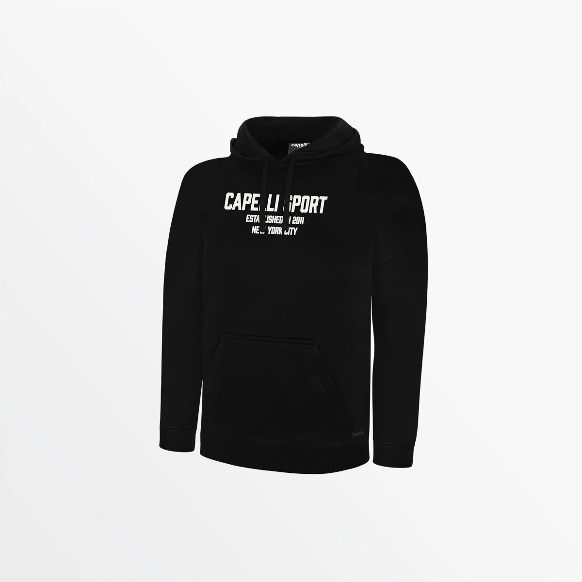 Soft Pullover QuickDrySystem MEN'S CS ESTABLISHED PULLOVER HOODIE
