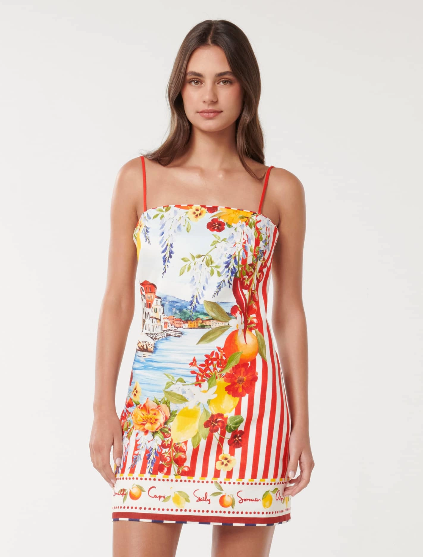 Sierra Printed Mini Dress Festive Mood