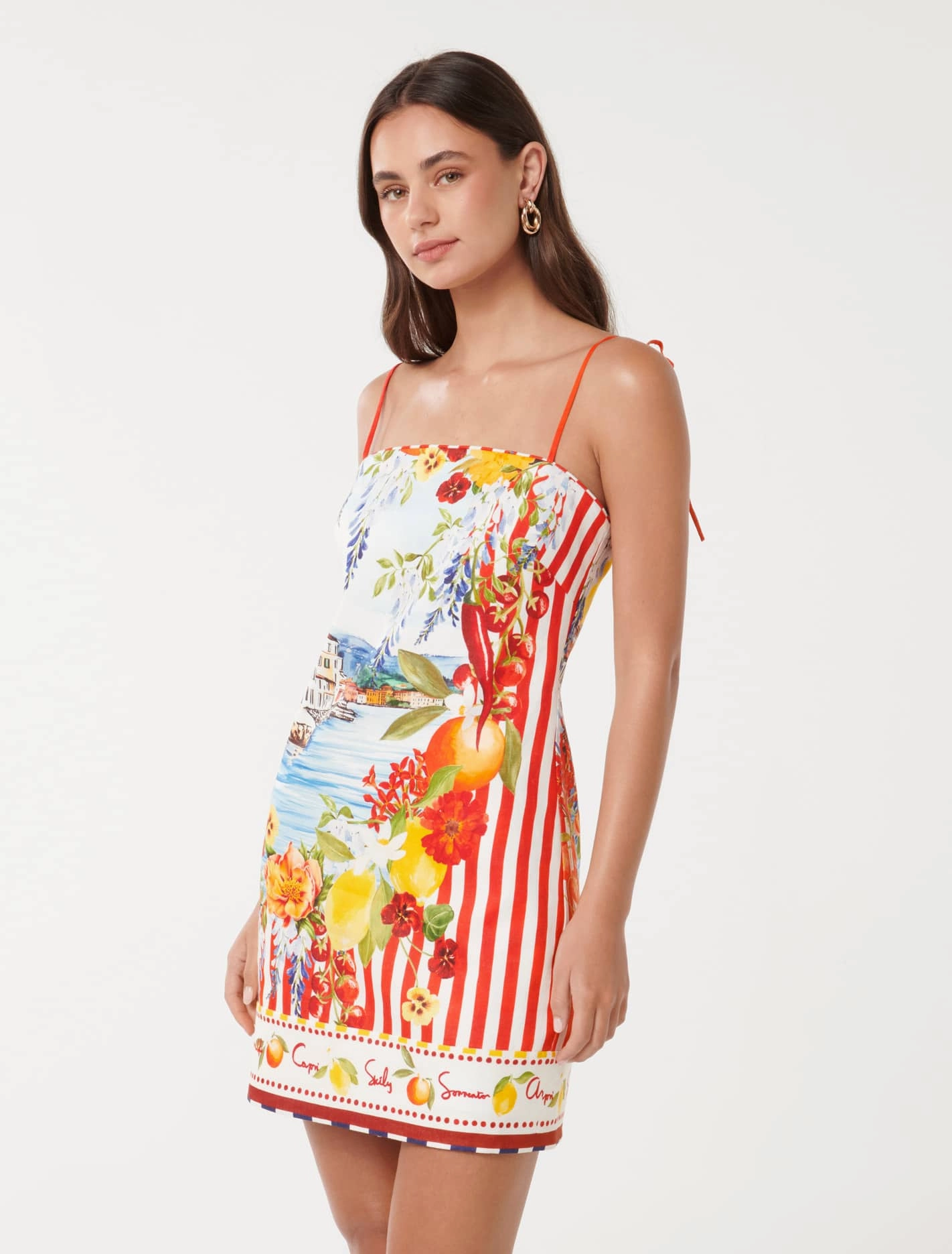 Cozy Cut Simple Profile Sierra Printed Mini Dress