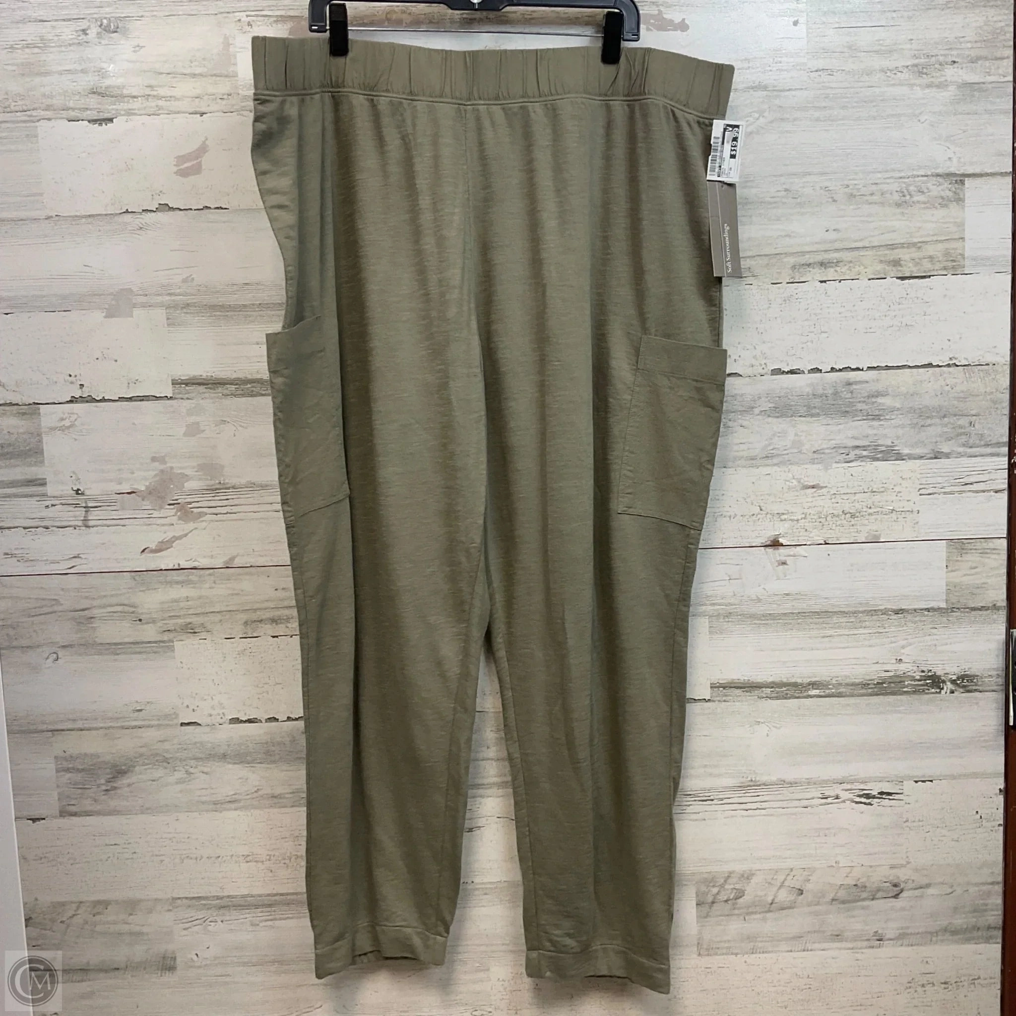 sporty wear Pants Other By Soft Surroundings In Green, Size: 3x
