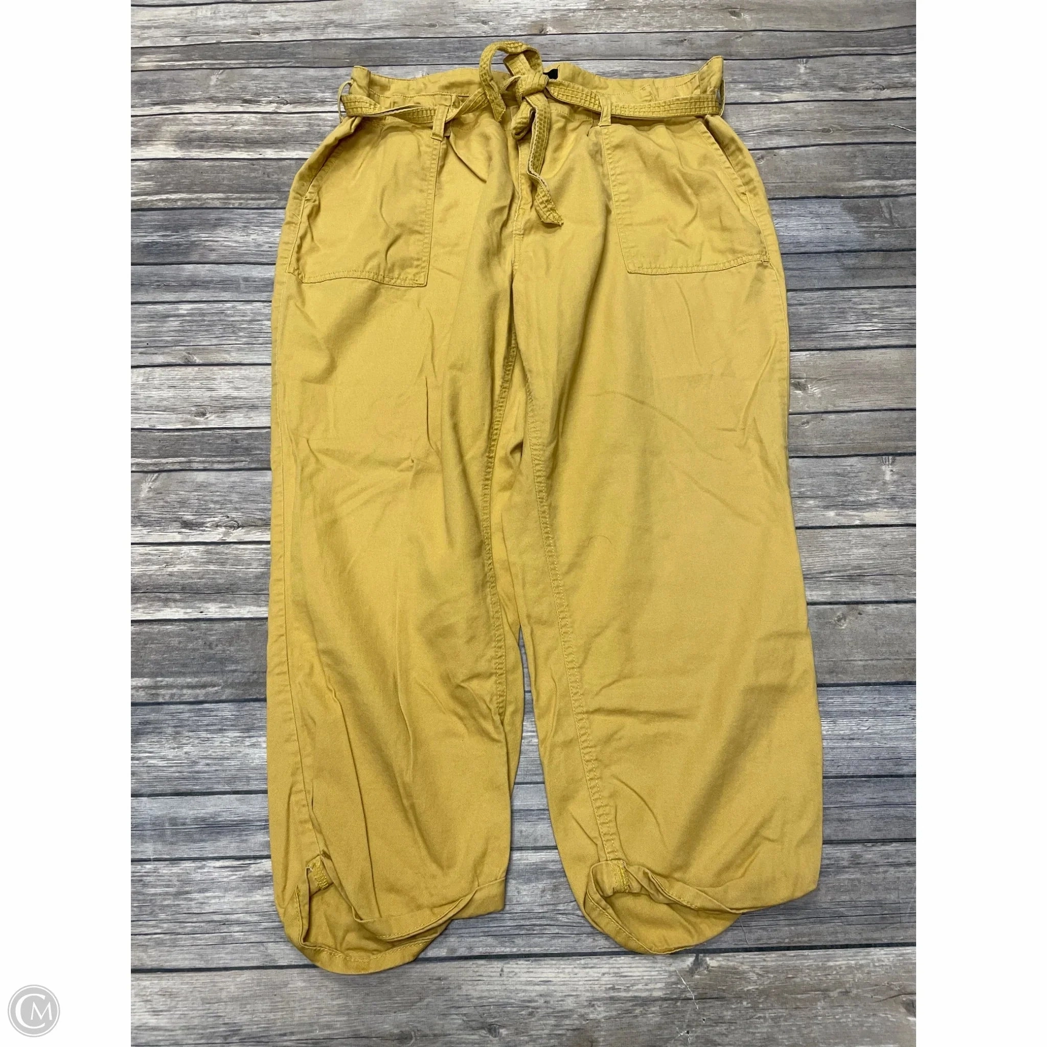 Modern Relaxed Pants Chinos & Khakis By Cme In Gold, Size: 2x