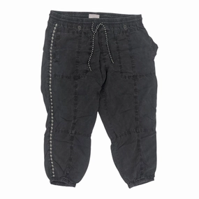 OdorResistantFinish Smart Comfort Pants Cargo & Utility By Anthropologie In Grey, Size:2X