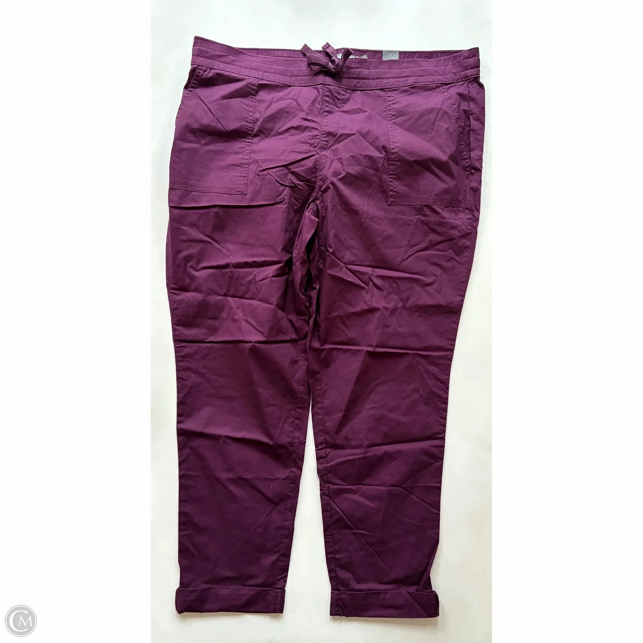 Pants Cargo & Utility By Torrid In Maroon, Size: 2x Active Wear Breathable Stretch