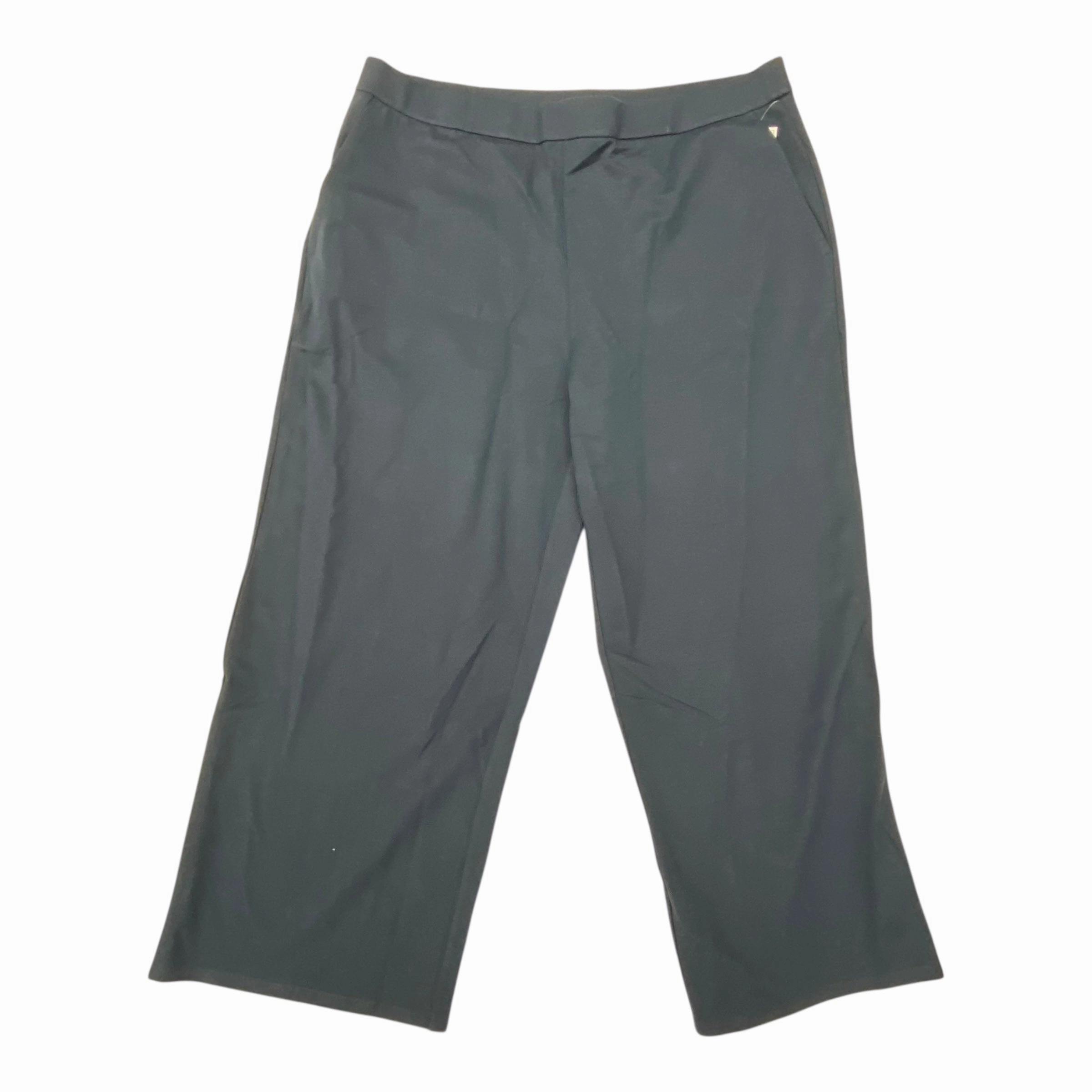 Pants Designer By Eileen Fisher In Green, Size:1X Flexible Layer Fit