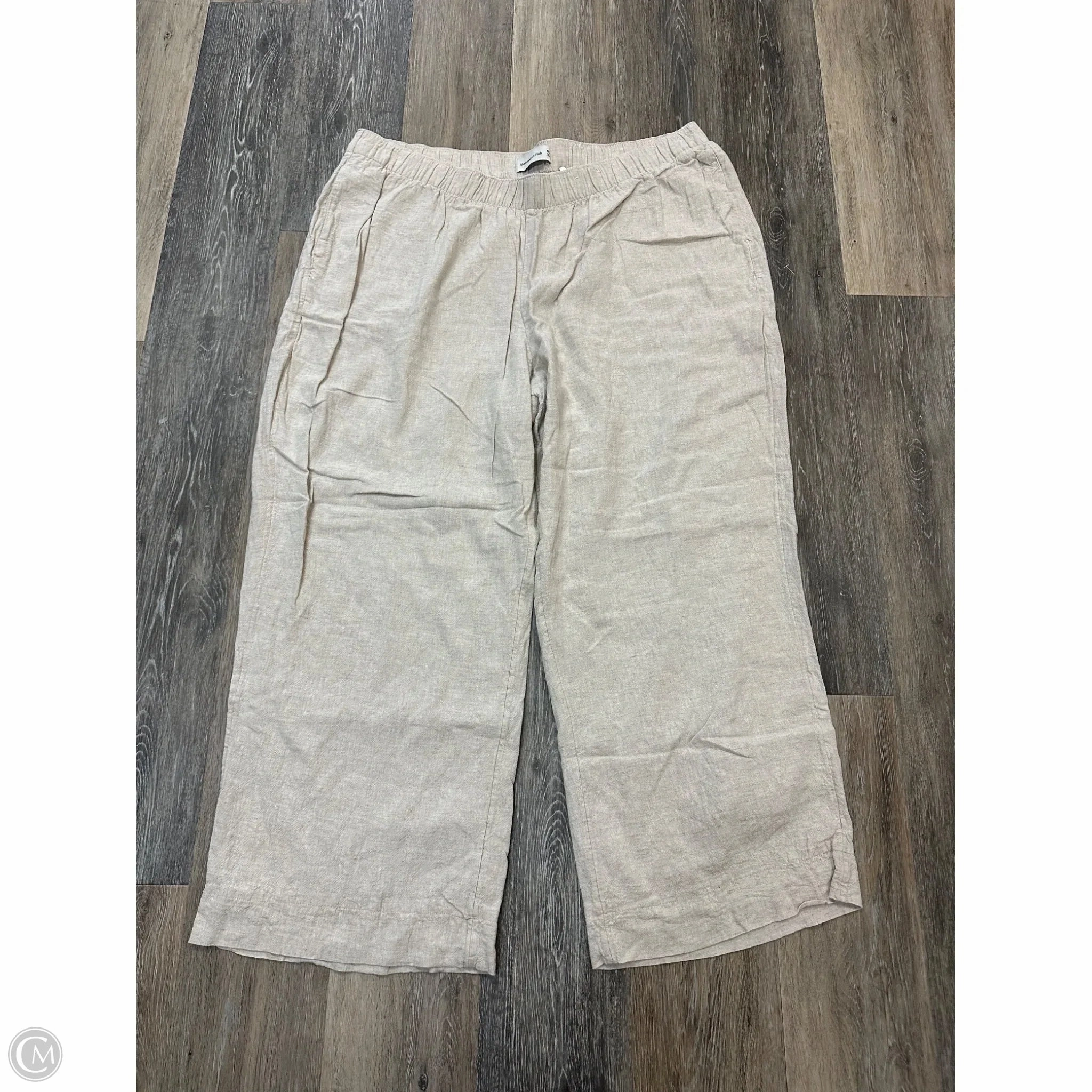 Pants Linen By Abercrombie And Fitch In Cream, Size: 2x Comfort for All
