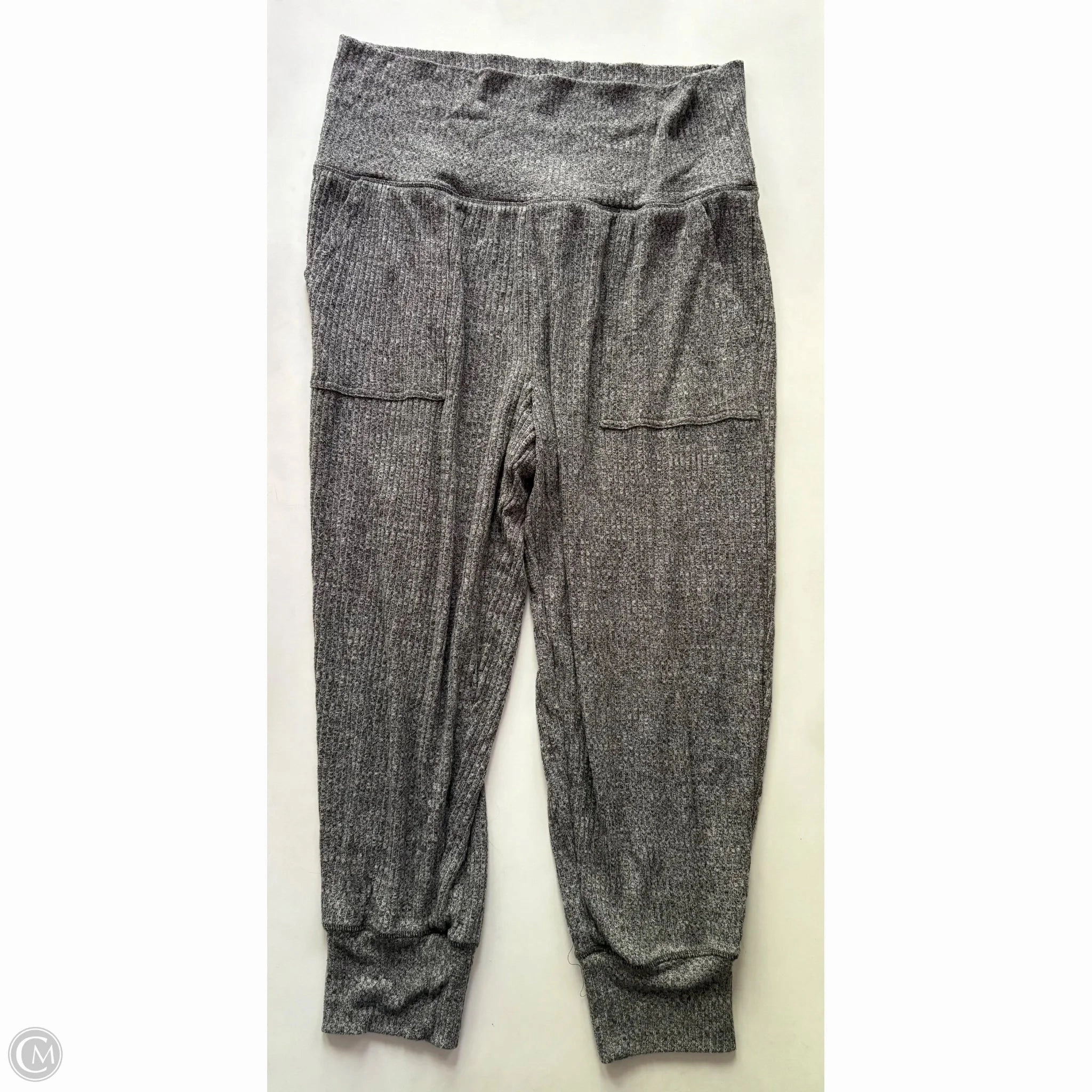 Pants Other By Aerie In Black, Size: 2x Windproof coating Durable Activewear