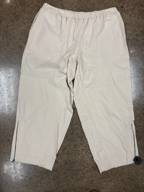 Pants Cargo & Utility By Daily Practice By Anthropologie In Tan, Size:Xl Ultimate Comfort