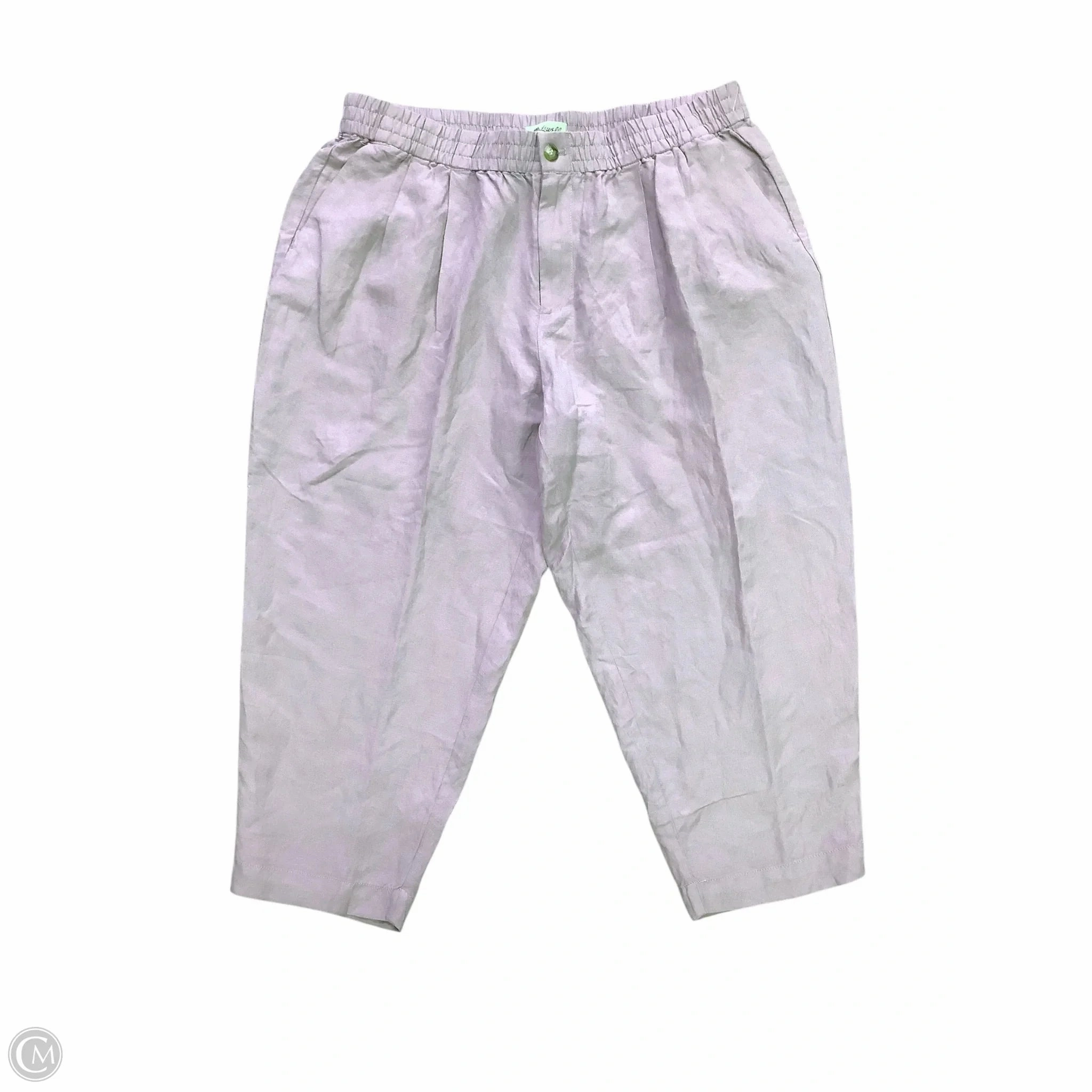 Pants Linen By Madewell In Purple, Size: 1x Outdoor Flex
